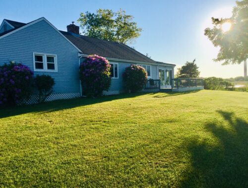 Brady's landing backyard view