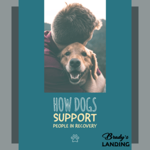 Support Animals and Addiction Recovery