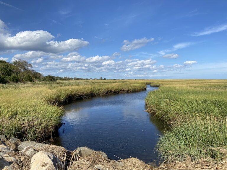 Bradys landing sober living cape cod