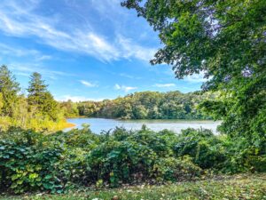 Bradys landing sober living cape cod