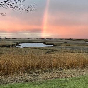 Brady's Lading rainbow