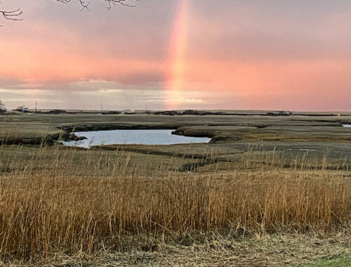 Brady's Lading rainbow