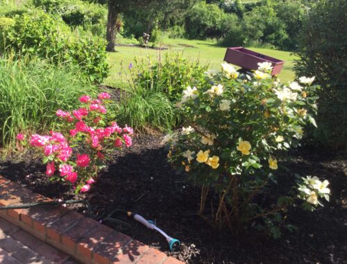 Brady's Landing garden flowers